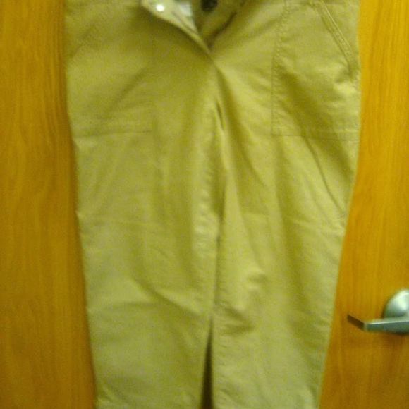 Ann Taylor Signature Capri - Picture 2 of 4